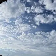 この木なんの木の画像