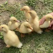 さらさら♡常識内のお値段交渉OK♪