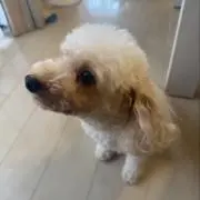 ryooooの画像