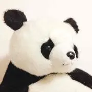 西瓜糖の画像
