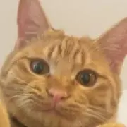 もーちゃんの画像