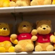 プーの画像