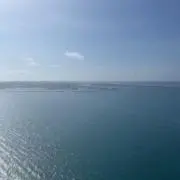 るんるんの画像