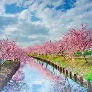メル プロフ必読の画像