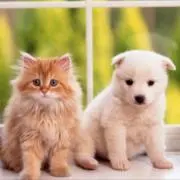たかひろ