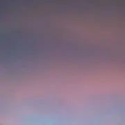 ウォル