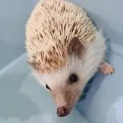 K子ちゃん☆