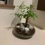 おじの画像