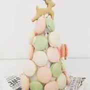 むっくの画像
