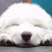 すくらんぶるえっぐ