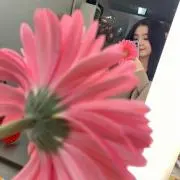 イッヌの画像