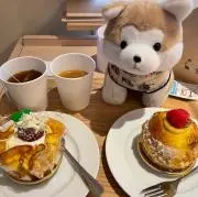 みぃ