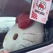 大豆の画像