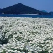 ウキウッキーの画像