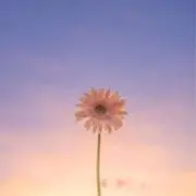 Kの画像