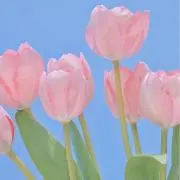あやん※プロフィール必読お願いします
