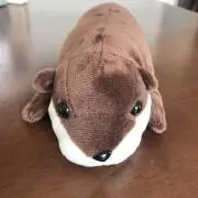 中海苔の画像