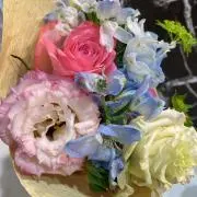 ぱみみ