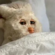 epiguriの画像