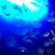 ばなママ