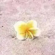 miaの画像