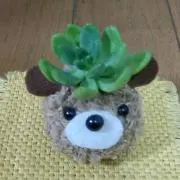 るぅ☆の画像