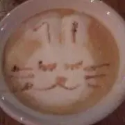 ぷみん☆の画像