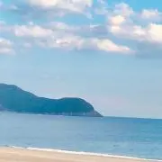 トトロの画像