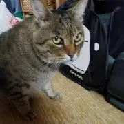 さち☆プロフ読んで下さいねの画像