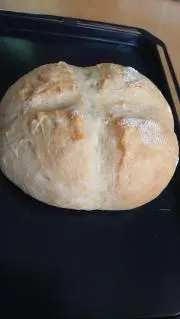 ぷちょこの画像
