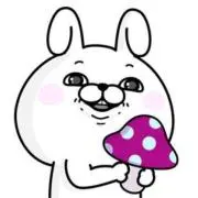 mipuu♡