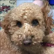 えみりん