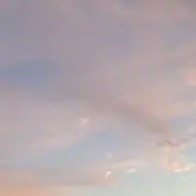 柚の画像
