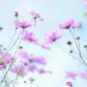 mugi＊6/11-14発送お休みしますの画像