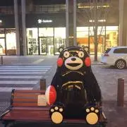 yzの画像