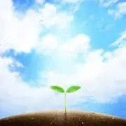 ふたばの画像