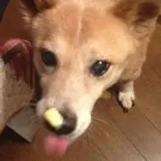 yasuco