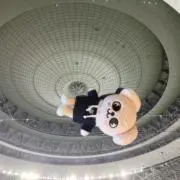 ponponの画像