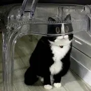 りぁ。の画像