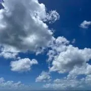 SAMの画像