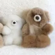 あきの画像