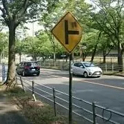 チーユの画像