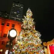 Mi-moの画像