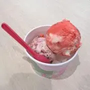 せつこの画像