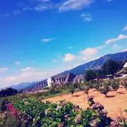 AAA*°の画像