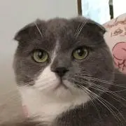 さらの画像