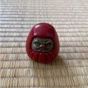 AKIの画像