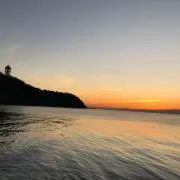 ☆かりチキ★の画像