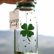 mint ‪(*´艸`)24時間OKですの画像