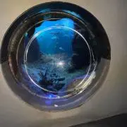 がぎの画像